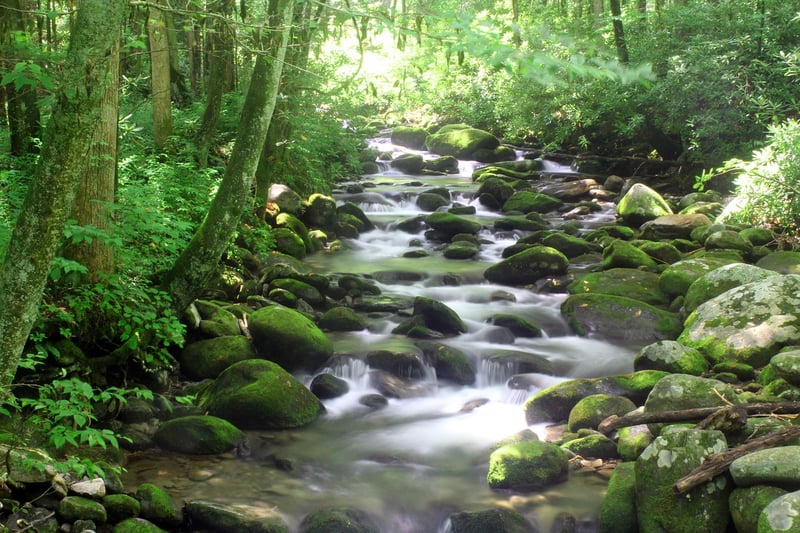 Smoky Mountain Sanctuary